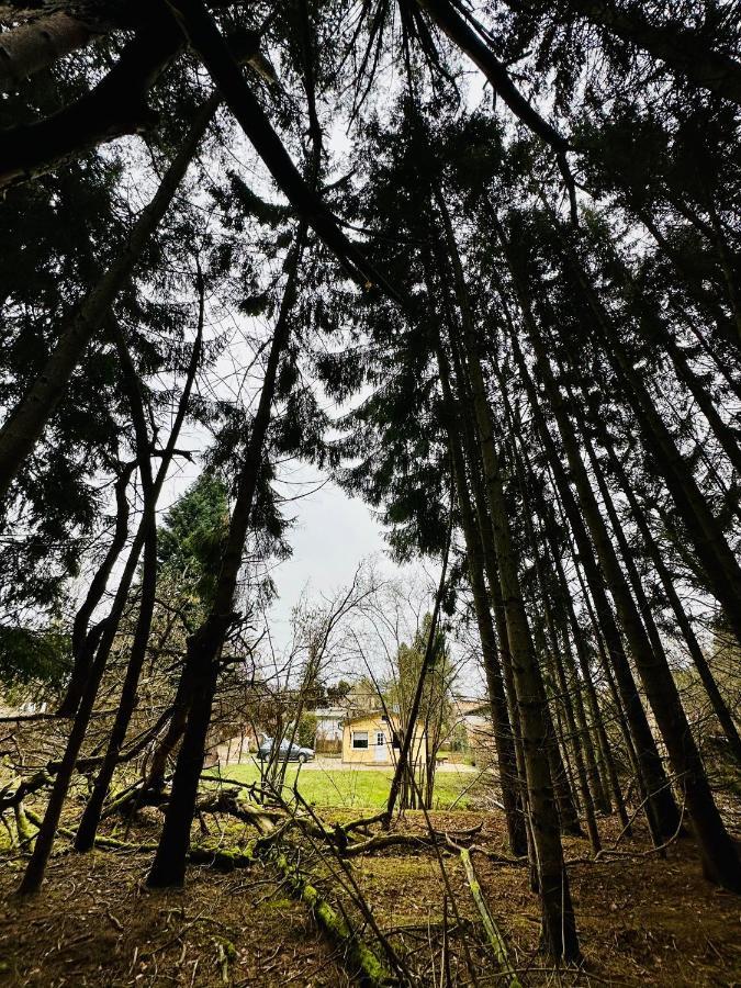 Ferienhaus Biber Godendorf  Extérieur photo